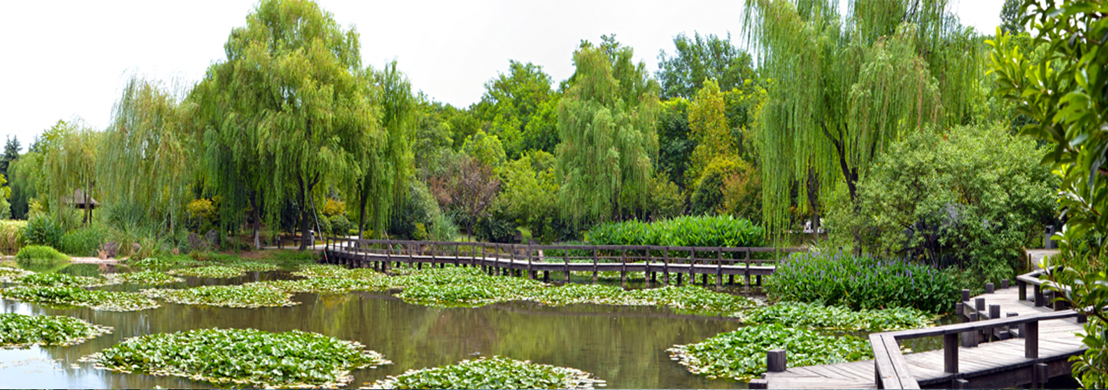 url(http://www_tc-mm_cn.yichengjia.com/theme/TP000163/pic/banner4.jpg)